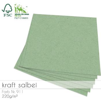 Cardstock 12"x12" 220g/m² (30,5 x 30,5cm) in kraft salbei