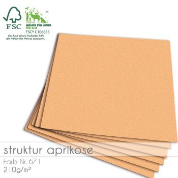 Cardstock 12"x12" 210g/m² (30,5 x 30,5cm) in struktur aprikose