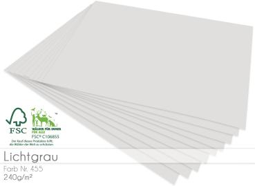 Cardstock - Bastelpapier 240g/m² DIN A4 in lichtgrau