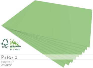 Cardstock - Bastelpapier 240g/m² DIN A4 in pistazie