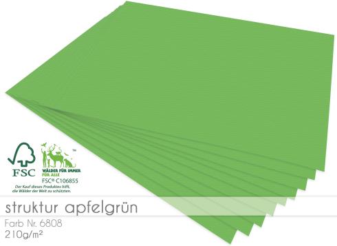 Cardstock "Struktur" 12"x12" 210g/m² (30,5 x 30,5cm) in struktur apfelgrün