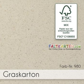 Cardstock 12"x12" 300g/m² (30,5 x 30,5cm) in Graskarton