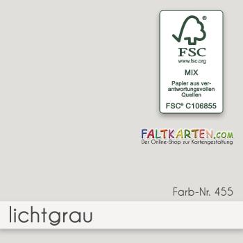 Cardstock 12"x12" 240g/m² (30,5 x 30,5cm) in lichtgrau