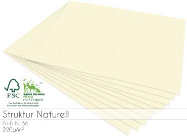 Cardstock - Bastelpapier 220g/m² DIN A4 in struktur naturell