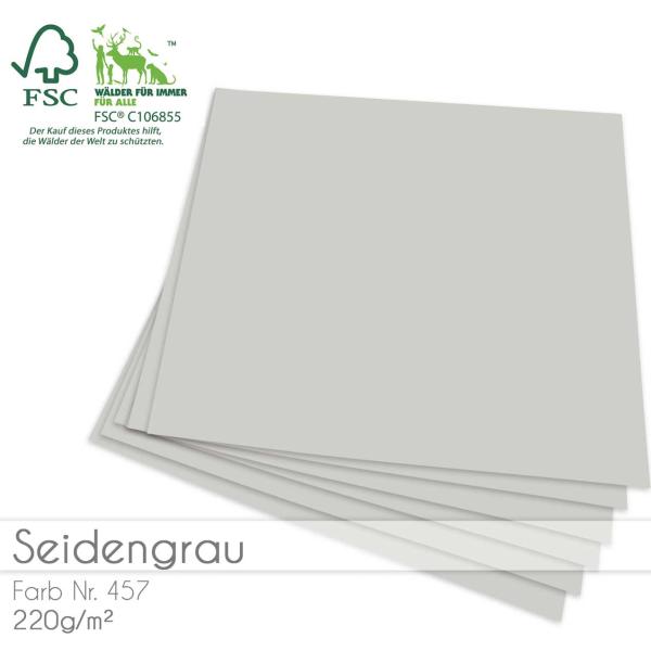 Cardstock 12"x12" 220g/m² (30,5 x 30,5cm) in seidengrau