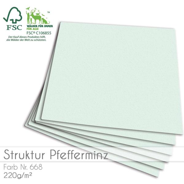 Cardstock 12"x12" 210g/m² (30,5 x 30,5cm) in struktur pfefferminz