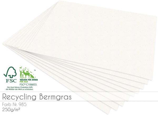 Cardstock "Recycling" - Bastelpapier 250g/m² DIN A4 in recycling bermgras