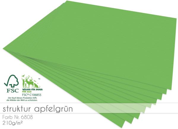 Cardstock "Struktur" 12"x12" 210g/m² (30,5 x 30,5cm) in struktur apfelgrün