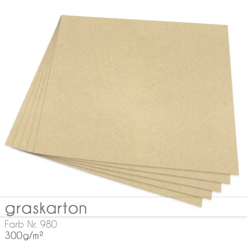 Cardstock 12"x12" 300g/m² (30,5 x 30,5cm) in Graskarton