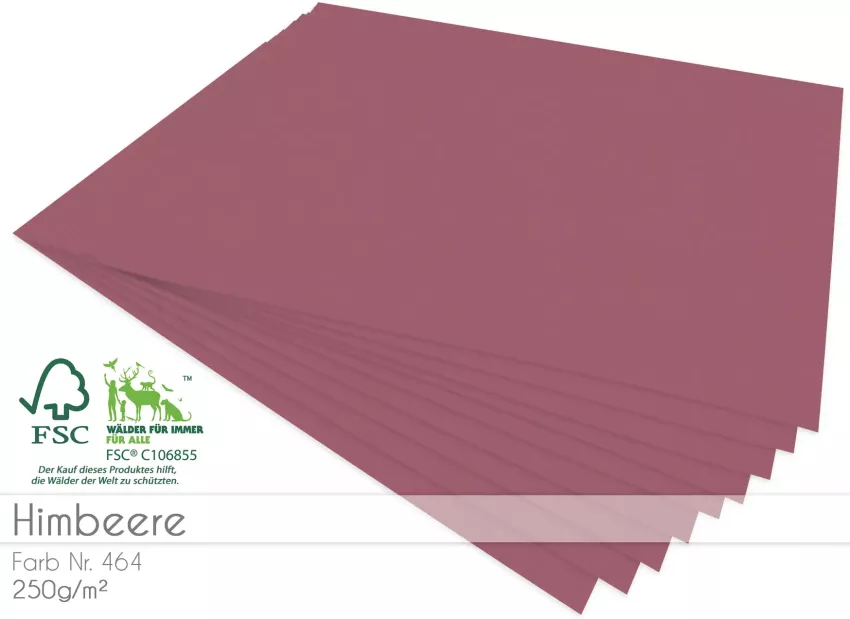 Cardstock "Premium" - Bastelpapier 250g/m² DIN A4 in himbeere