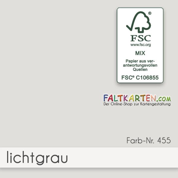 Cardstock 12"x12" 240g/m² (30,5 x 30,5cm) in lichtgrau